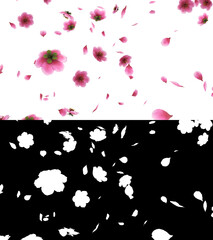 Obraz na płótnie Canvas 3D illustration of a pink cherry sakura flower petals flow with alpha layer