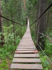 Wooden rope bridge in the forest