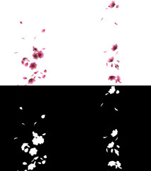 3D illustration of a pink cherry sakura flower petals flow with alpha layer