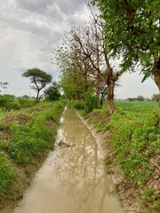 Fototapeta na wymiar Rural landscape: A canal through countryside