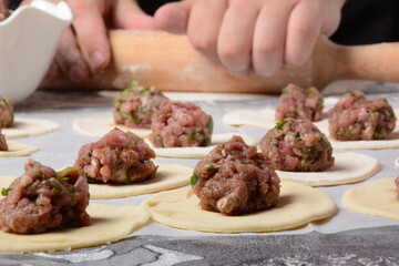 Process of making home-made dumplings, ravioli or pelmeni with minced meat.