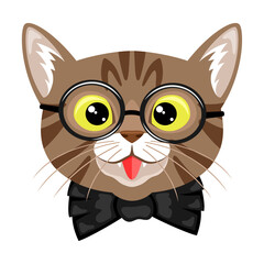 Cute cat with glasses on a white background.
