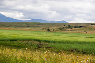 Obraz premium Mountain landscape and view in Georgia
