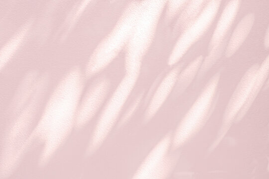 Light Pink Background Images – Browse 3,604,270 Stock Photos, Vectors, and  Video