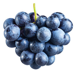 Bunch of blue grapes isolated on a white background.