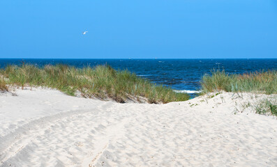 Sanddünen, Dünengras, Postkarten Landschaft, Urlaubslandschaften an der  Ostsee, Insel Usedom