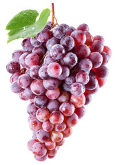 Bunch of pink grapes in water drops with a grape leaf isolated on a white background.