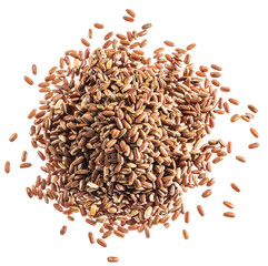 Brown rice heap - whole grain rice with outer hull or husk. Top view.