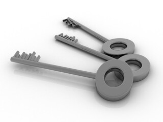 house protection key. 3D illustration
