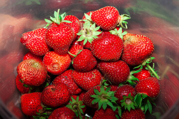 Homegrown strawberries , ripe of tasty berries 