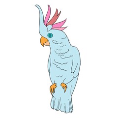 Modern isolated vector colorful design tropical decorative cartoon parrot
