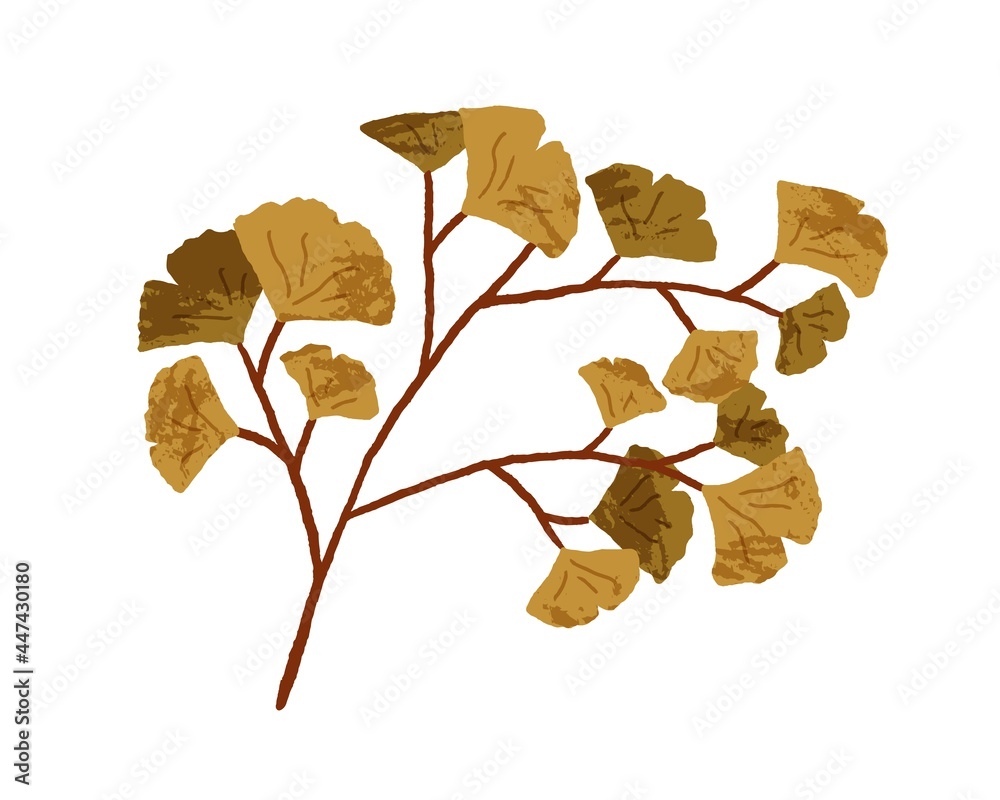 Aufkleber autumn decorative tree branch with leaf. fall twig of foliage plant. leaves of adiantum. modern bota