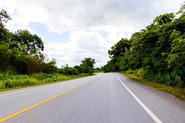 Fototapeta na wymiar forest nature roadway background