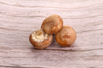 Raw brown champignons mushroom heap