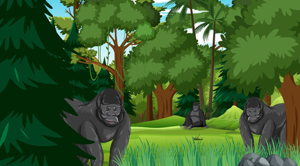 Gorilla group in forest or rainforest scene with many trees
