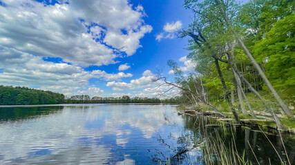 Fototapeta na wymiar lake and forest blue sky