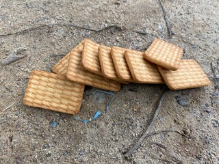 Biscuits on the ground