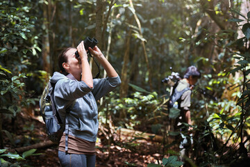 Woman tourist watching birds in jungle in Khao Yai National Park, Thailand - 447433995