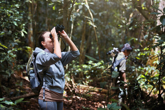 Woman tourist watching birds in jungle in Khao Yai National Park, Thailand