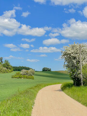 road in the countryside blue sky 
