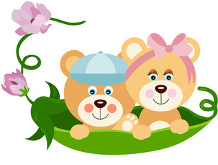 Two baby teddy bears pods in a green pod and flowers