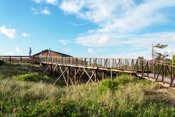 Fototapeta premium Old bridge over the ravine. Wooden bridge over the river.