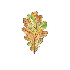 Green brown oak leaf isolated on white background. Hand drawn watercolor illustration. Autumn. Leaf fall.