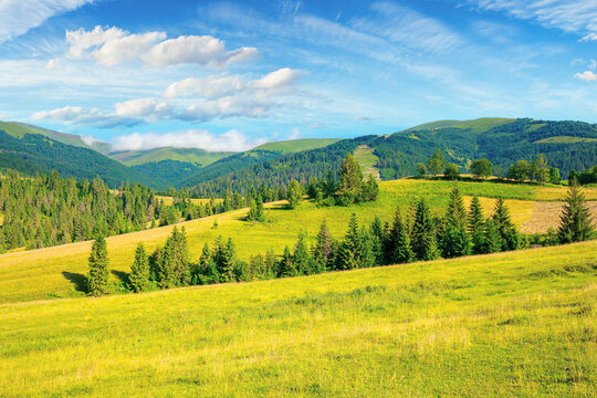 countryside summer landscape. meadows, pastures and forest on the hills. mountainous scenery on a bright summer day. gorgeous cloudscape above the ridge