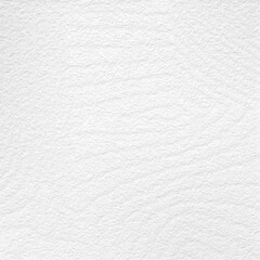 Monochrome texture background. Image includes the effect the black and white tones. Surface looks rough. Gray printing element. Backdrop texture wall and have copy space for text.