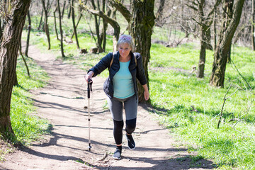 Fototapeta premium Active woman climbs up the mountain path with the help of a hiking pole, with a lowered view. Around her are bare trees without leaves. Sport concept