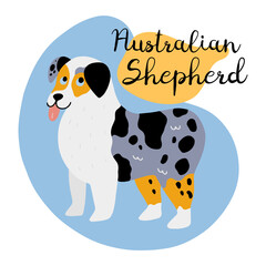 Fototapeta premium Cute doodle Australian Shepherd dog with Aussie lettering poster or card