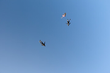 Freefly skydiving. Fun jump. Skydivers are flying in the sky.