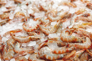 Fresh raw shrimps close up lying on ice in supermarket