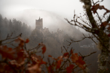 Manderscheider Burgen im dichtem Nebel im Winter in der Eifel