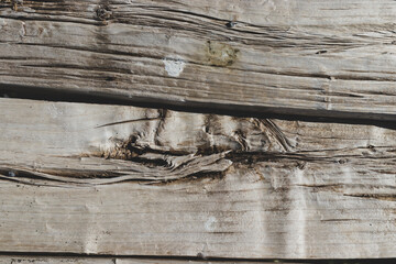 Naklejka premium old wood texture