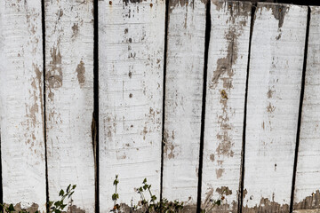 old wooden fence