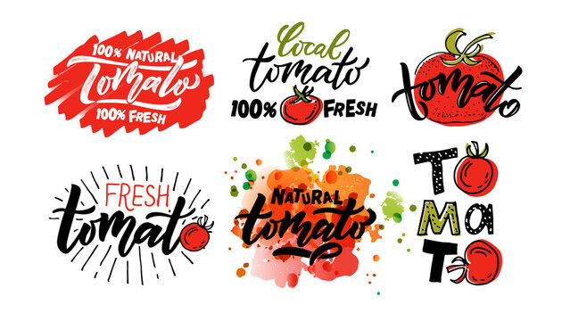Hand sketched Tomato product lettering typography. Concept for farmers market, organic food, natural product design, juice, sauce, ketchup. Tomato logotype, badge, icon. Tomato logo, banner, flyer 