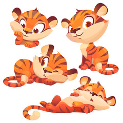 Fototapeta na wymiar Set cartoon baby tiger, cute animal cub character