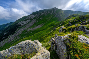 Fototapeta na wymiar monte casarola