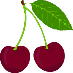 Vector illustration of a cherry tree. Vector illustration of a cherry used for magazines, books, food applications, posters, menu covers, web pages.