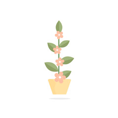 Home plant icon. Beautiful flower. Flat style