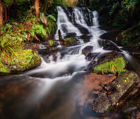 Fototapeta na wymiar Lush green rain forest cascade