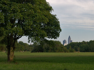 Fototapeta na wymiar Frankfurt Volkspark Niddatal, Blick auf Innenstadt