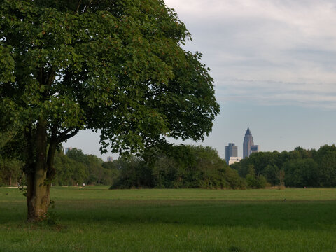 Frankfurt Volkspark Niddatal, Blick auf Innenstadt