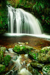 Obraz na płótnie Canvas Lush green rain forest waterfalls