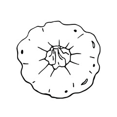 Vector pumpkin on white background. Healthy food design.