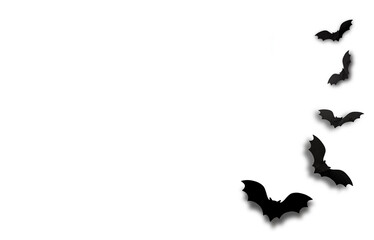 Black bats isolated on a white background. The concept of Halloween. Free space for text, horizontal background. High quality photo