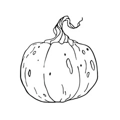 Pumpkin. Element for autumn decorative design, halloween, harvest. For cookbook, recipes, menu. 