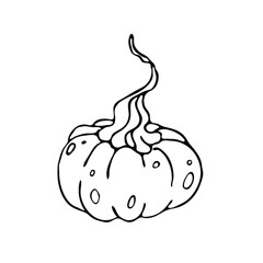 Silhouet of pumpkin. Element for autumn decorative design, halloween, harvest. 