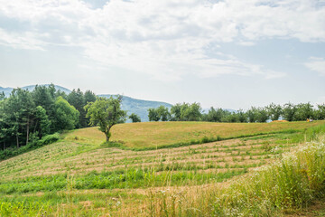 Hills around the settlement of Tre&scaron;njevica in Serbia.